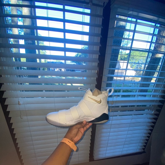 LEBRONS (Nike ZOOM) main image 4